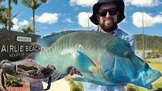 WHITSUNDAYS AIRLIEBEACH  OFFSHORE FISHING  CRABBING [upl. by Rentsch85]