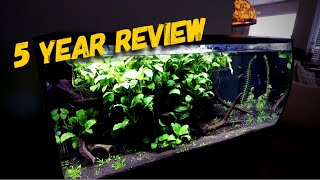 Fluval Flex 32 gallon 5 Year Update amp Touch Up [upl. by Agnew]