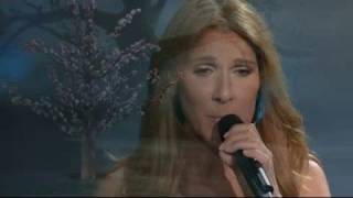 Céline Dion  If I Could Live in Las Vegas [upl. by Neetsirk]