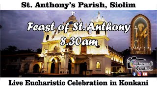 Feast Day Konkani Mass Live at 830am 16th June 2024  St Anthonys Church Siolim [upl. by Oibaf]