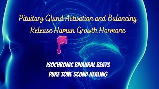 Pituitary Gland Activation and Balancing  Isochronic Binaural Beats  Release Human Growth Hormone [upl. by Eelyr733]