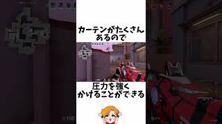 【4色カーテン】カーテン構成に関する小ネタ、雑学【VALORANTヴァロラント】【HYORU】VALORANT ヴァロラント ValorantClips hyoru shorts [upl. by Akinyt802]