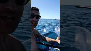 Transparent Kayak VS Whale [upl. by Shanan]