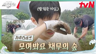 영웅 씨 우선 들어봐ㅎ 우리한테 채무가 있는데 highlight 삼시세끼Light EP2 [upl. by Aenit142]