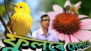 Phoole Melate ফুলৰে মেলাতে   by Pulok Benarji [upl. by Rhona]