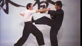 Wing Chun Basic Techniques part 3 Chinese Fight Art [upl. by Otrebogad]