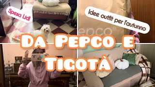 Acquisti Pepco e TigotàSpesa LidlIdee outfit per l’autunno 🍁autunno outfit homedecor pepco [upl. by Ilrac]