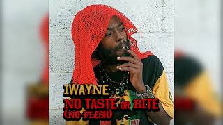 IWayne  No Taste or Bite No Flesh Official Audio [upl. by Cy]