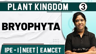 PLANT KINGDOM 03  Bryophyta  Botany  Class 11NEETEAMCET [upl. by Forrester]