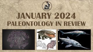 January 2024 Paleontology in Review [upl. by Einnig]