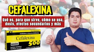 💊¡Descubre Cefalexina Para Que Sirve Cefalexina Dosis y Cómo se Toma [upl. by Atoiyanap]