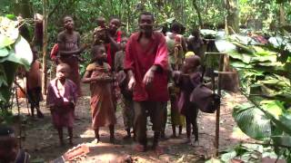 Baka Pygmy guitarists in the cameroon rainforest [upl. by Casie]