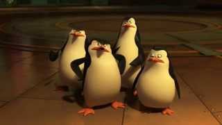 Penguins of Madagascar  Skipper forgets Daves name supercut [upl. by Ridan83]