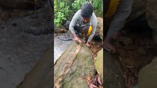 Really Hard To Crack It 🤯 crystals gems gold rockhounding satisfying [upl. by Notrem]