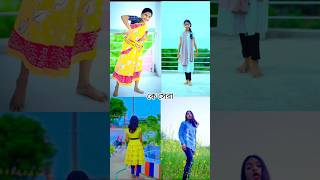 কে সেরা palligram tv and sofik plligram tv channel all members ritisofik tranding viralshorts [upl. by Edas]