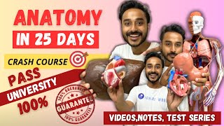 Anatomy in 25 days crash course  Pass in university exams 100 guarantee MBBS 1st year [upl. by Oruam]