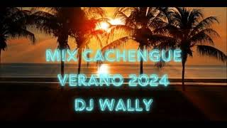 VERANO 2024 LO MAS NUEVO PREVIA Y CACHENGUE  DJ WALLY [upl. by Alexandra]