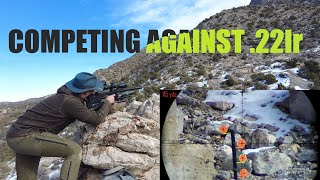 Using the Prophet 21 against 22lr [upl. by Fry]