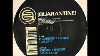 DBridge amp Fierce  Twilight [upl. by Necyrb]