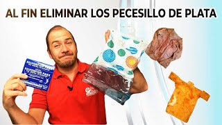 Consejos para el control de las plagas del pececillo de plata [upl. by Lleryd532]