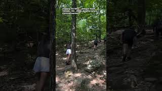 enjoying the hike 😁Mount Tom Holyoke  MA  hike  mothernature mttommountain [upl. by Kreiker]