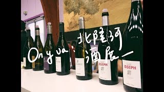 【Celia葡萄酒頻道】北隆河葡萄酒試喝大會｜超過200多款葡萄酒可品嚐的北隆河盛事 Marché aux vins dAmpuis 2019 [upl. by Ilime]