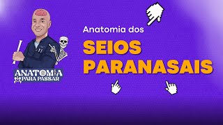 Anatomia dos seios paranasais [upl. by Bonis189]