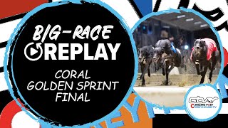 2023 Coral Golden Sprint Final  Droopys Good  Greyhound Race Replays  2023 Big Finals [upl. by Atikahs850]