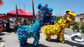 Lion Dance Introductions  CLDC 2017 [upl. by Oznofla759]