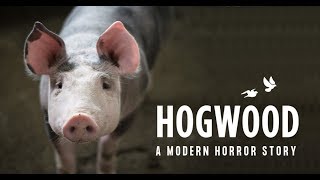 Hogwood a modern horror story [upl. by Rafaellle]