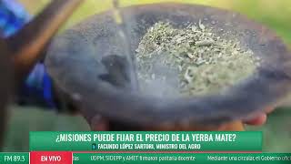 ¿Misiones puede fijar el precio de la yerba mate  Facundo López Sartori ministro del Agro [upl. by Titos]