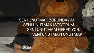 Faydee  Far Away Türkçe Çeviri [upl. by Llehctim]