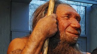 What Happened to Neanderthals [upl. by Obeng585]