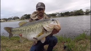 TOP 3 HUGE LARGEMOUTH BASS CAUGHT ON CAMERA compilation [upl. by Rehpotsirhcnhoj]