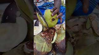 Ice Apple Cutting Skills of Kolkatashorts [upl. by Refinnej]