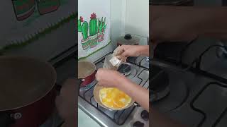 Engravidei e me arrependo cozinha limpeza [upl. by Ycrem]