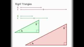 Sine Cosine Tangent Trigonometry Right Triangle Math Explained [upl. by Parshall780]