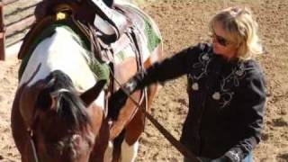 What is the Proper Way to Cinch a Saddle [upl. by Baggs]