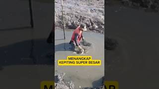 Berburu amp Menangkap Kepiting Besar [upl. by Elberta]