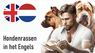 Hondenrassen in het Engels Mannenstem [upl. by Nealy]