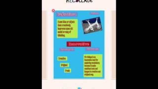 Using Pic Collage as a graphic organizer for vocabulary [upl. by Etti]