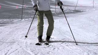 Harald Harb quotHow to Skiquot Series 1 Lesson 1 Beginning Parallel Skiing [upl. by Lovel907]