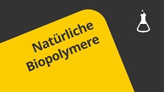 Biologische Makromoleküle  Chemie  Organische Verbindungen  Eigenschaften und Reaktionen [upl. by Ynneg870]