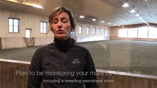 Equine Reproduction When To Have A Breeding Soundness Exam [upl. by Adnarim]