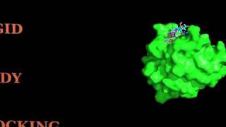 Proteinoligosaccharide HADDOCKing [upl. by Amethist421]