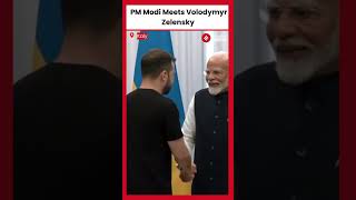 PM Modi Holds Bilateral Talks with Ukraines Zelenskyy at G7 Summit [upl. by Hehre]