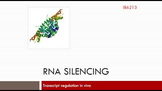 RNA INTEFERENCE IN Caenorhabditis elegans [upl. by Hun181]