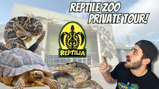 Reptile Zoo Tour Monitors amp Venomous Snakes At Reptilia [upl. by Okimat]