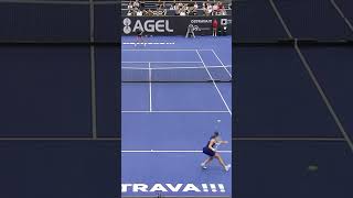 Swiatek Vs Krejcikova Epic Rally Battle shorts viral [upl. by Albion]