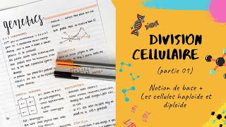 La division cellulaire 📣 partie 1 Notions de base haploïde diploïde 📣 SNV L2 Génétique [upl. by Rudiger]